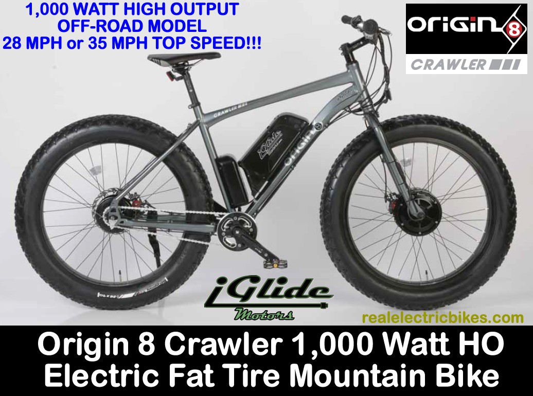 electric assist fat bike