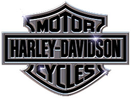 Harley Davidson motorcycle battery