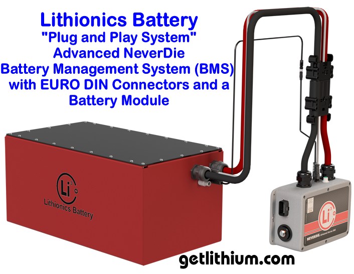Lithionics battery management systems for lithium ion batteries