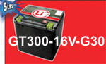 Click here to see the details for this lithium ion battery