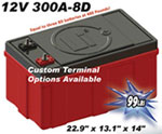 12Volt DC lithium ion batteries with 120 Volt AC output 